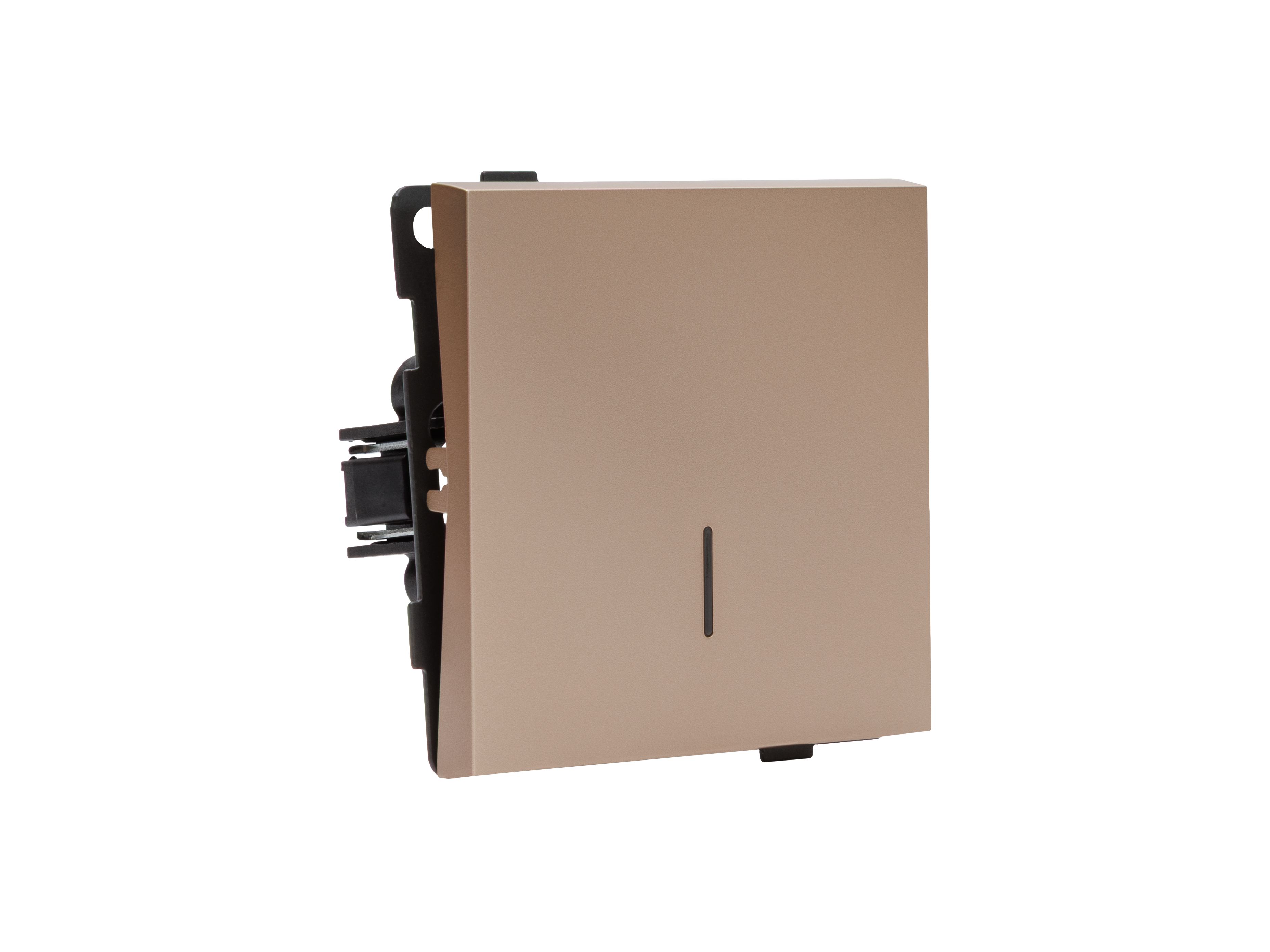 Изображение товара Выключатель одноклавишный ALTECH ENCORE 1TSIY шампань