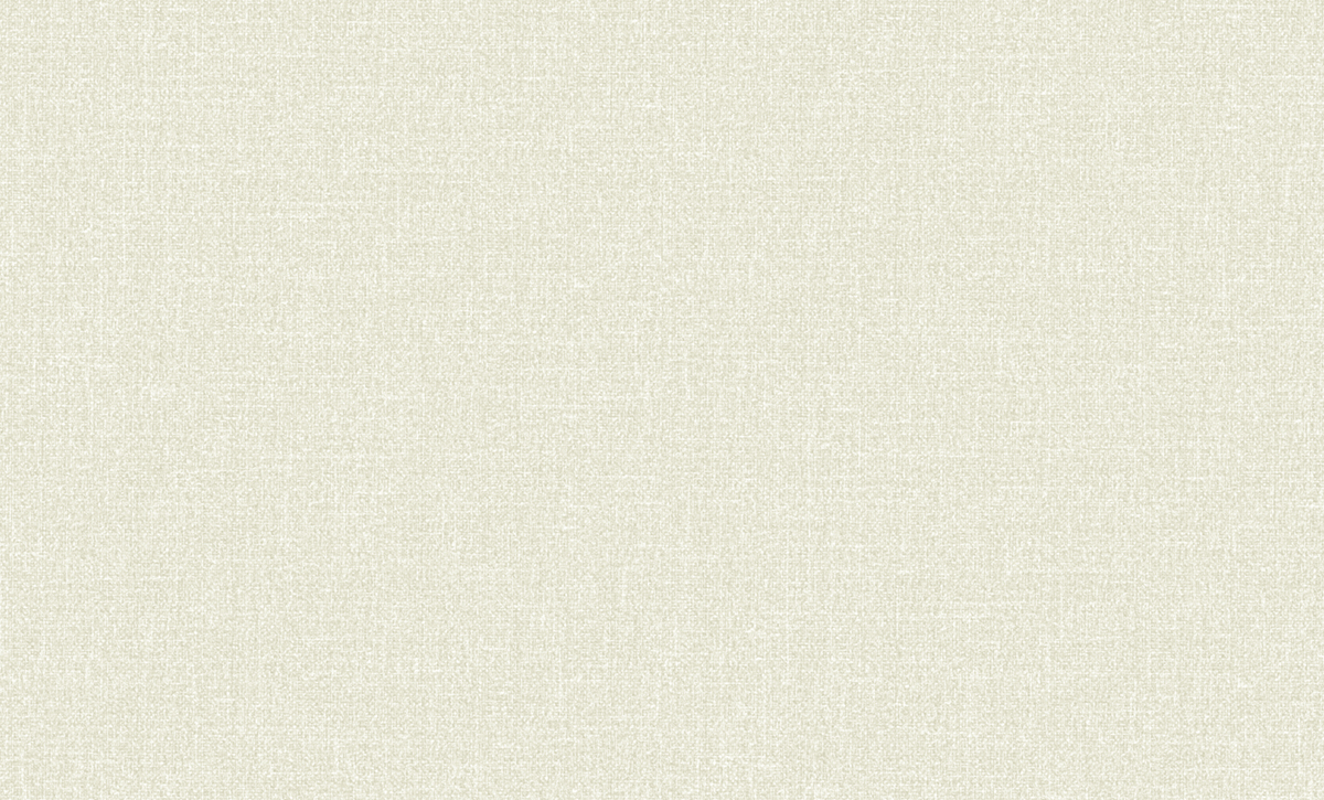 Изображение товара ОБОИ виниловые ERISMANN  Basic Comfi 60979-03 1,06х10,05м