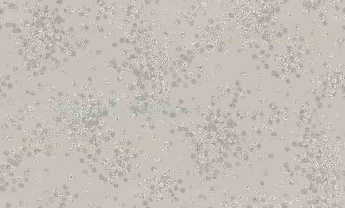 Изображение товара Обои Euro Decor Герда Винил/флиз 7282-11 серый 1,06Х10,05м