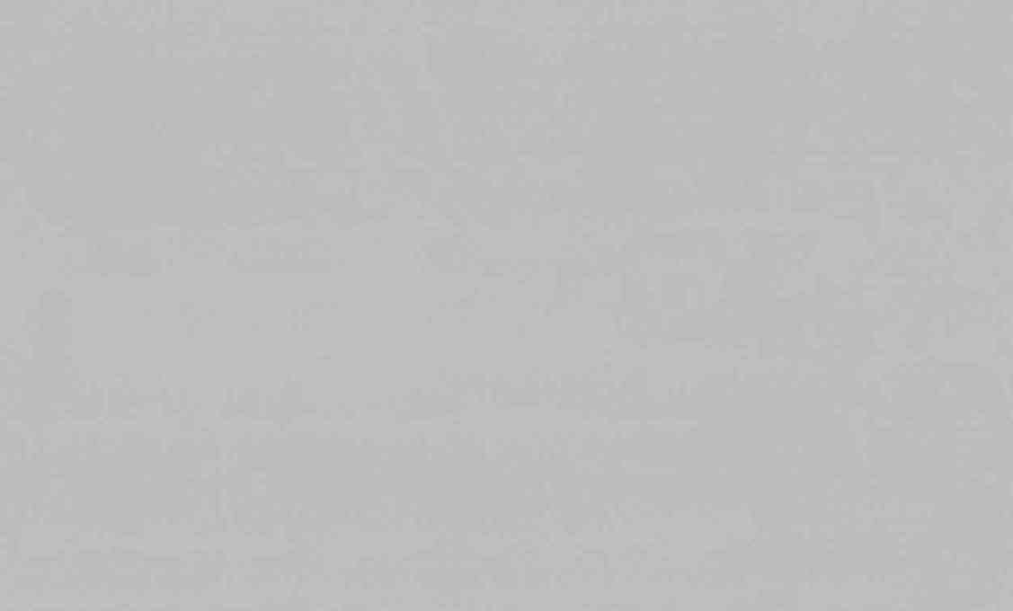 Изображение товара Обои Euro Decor Mansory Винил/флиз 7299-21 серый 1,06Х10,05м