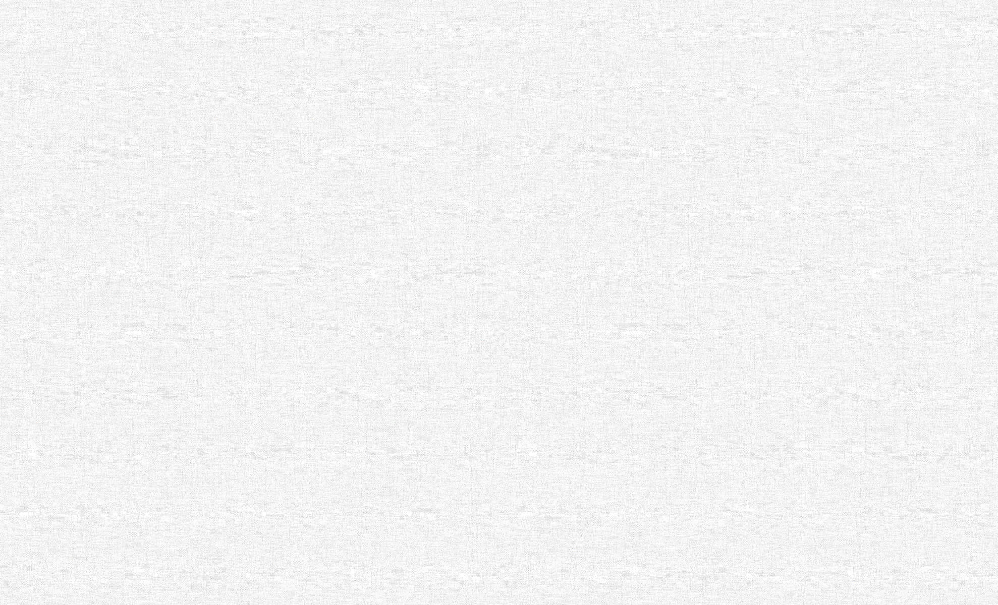 Изображение товара Виниловые обои Erismann Basic Skandi 60989-02 белые 10,05х1,06 м современный стиль