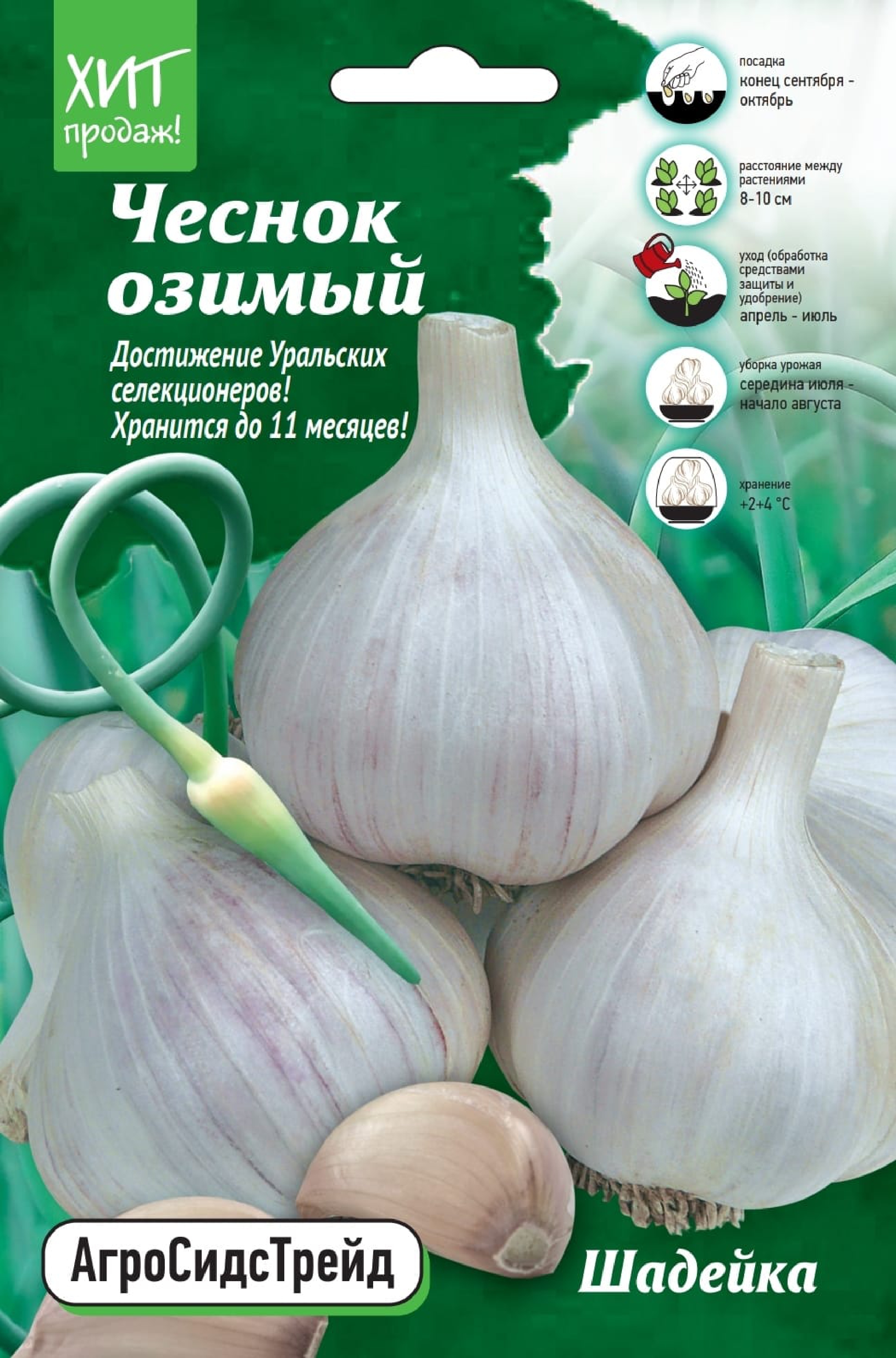 Изображение товара Чеснок Шадейка 450 г от АгроСидсТрейд - высокоурожайный сорт
