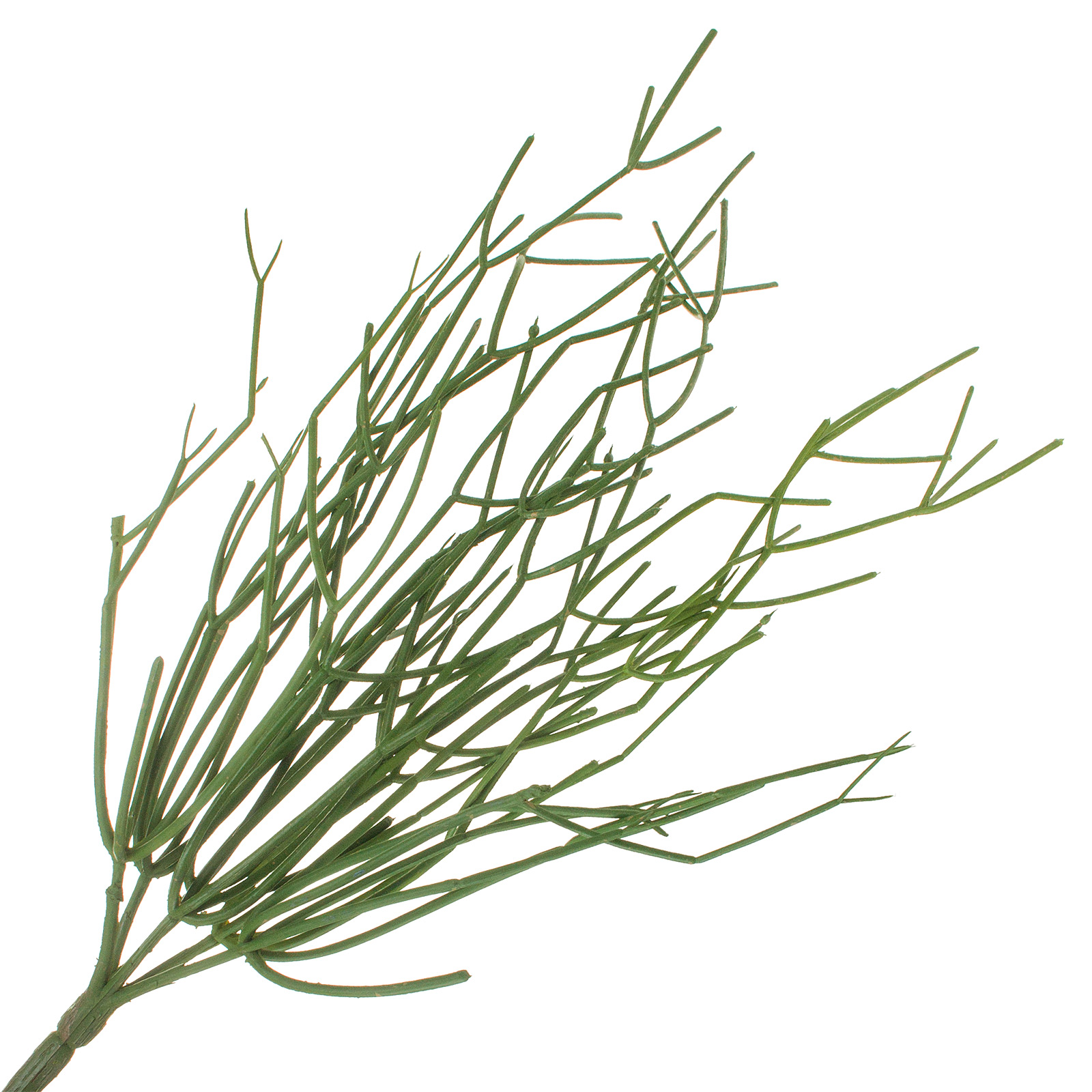 Изображение товара Искусственная ветка Рипсалис высотой 42 см для интерьера