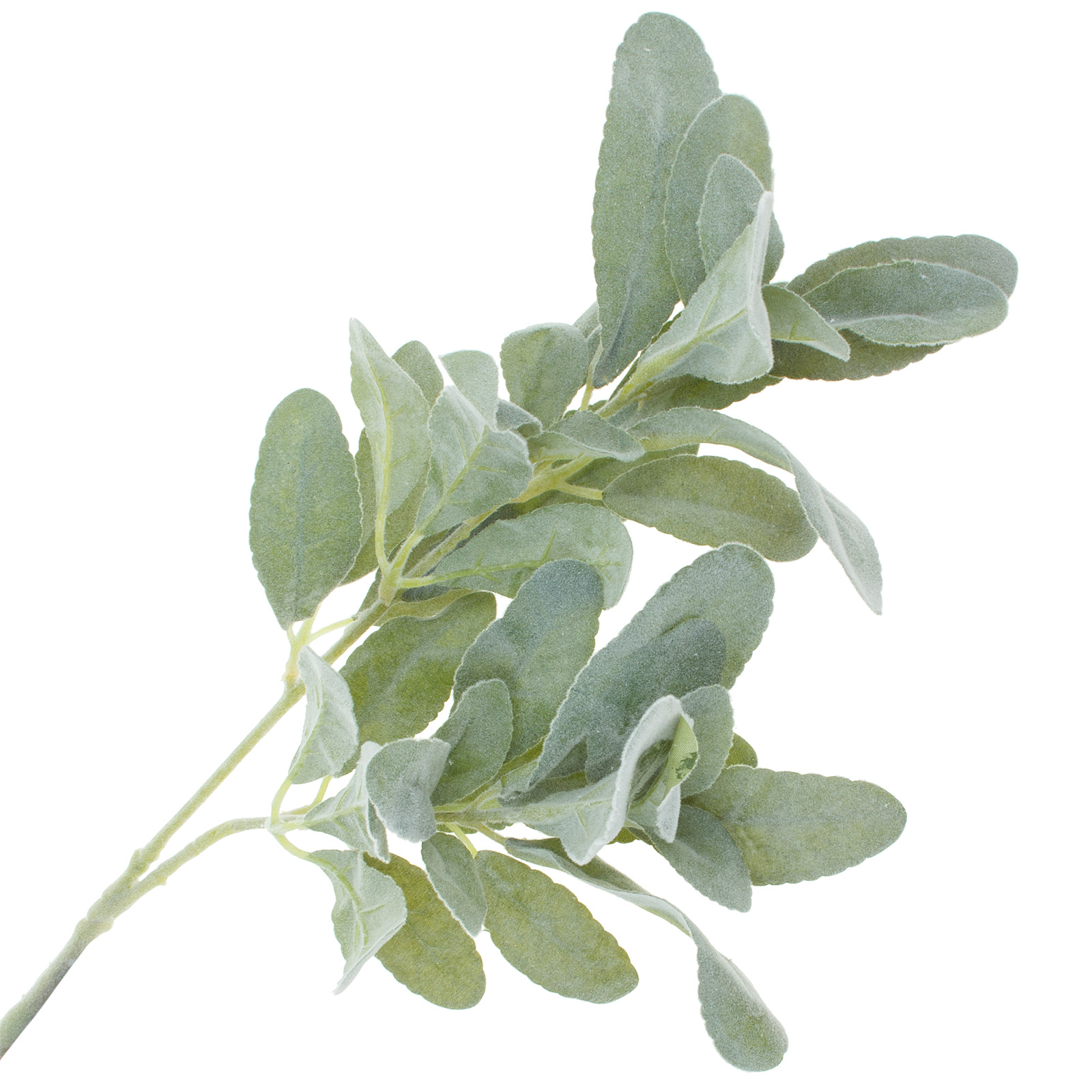 Изображение товара Искусственное растение Крестовник пепельный высотой 74 см