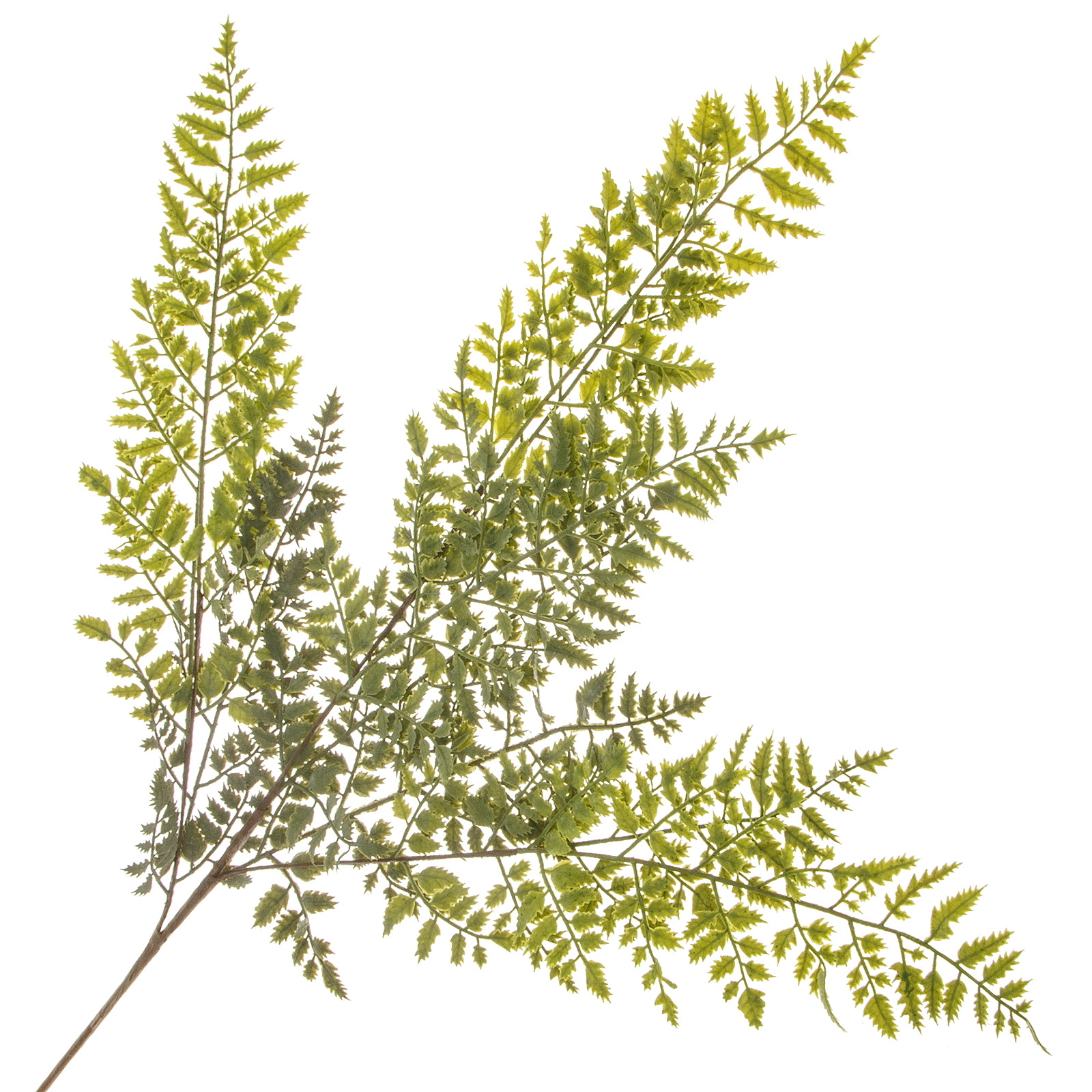Изображение товара Искусственное растение Папоротник Адиантум 102 см для интерьера