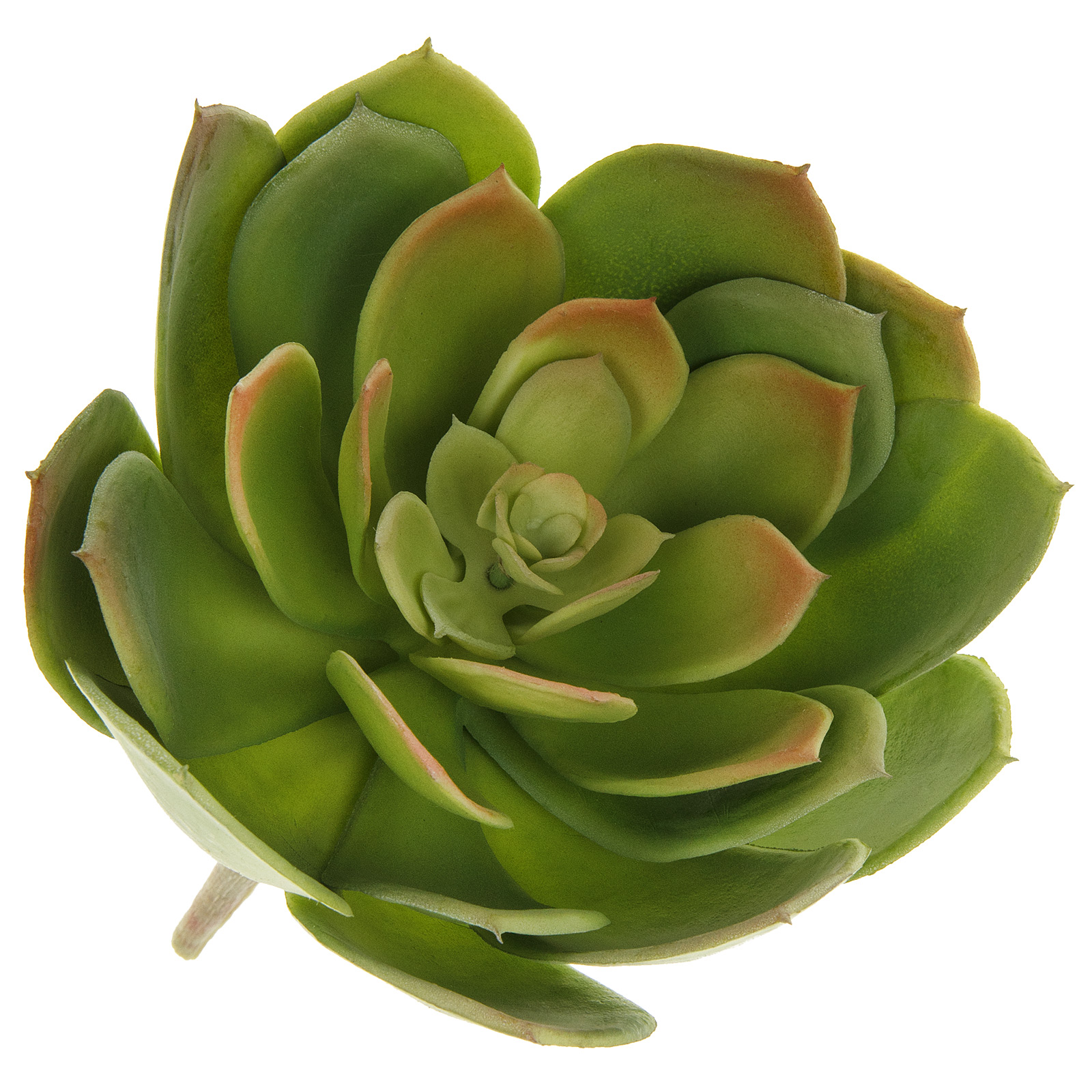 Изображение товара Растение искусственное Суккулент Эониум Канарский 16xh16 см