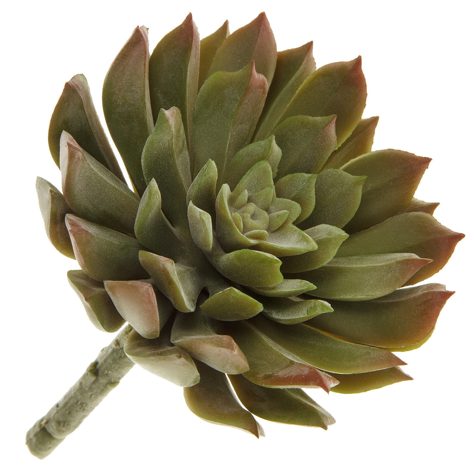 Изображение товара Растение искусственное Суккулент Эониум Кастелло 10xh12 см