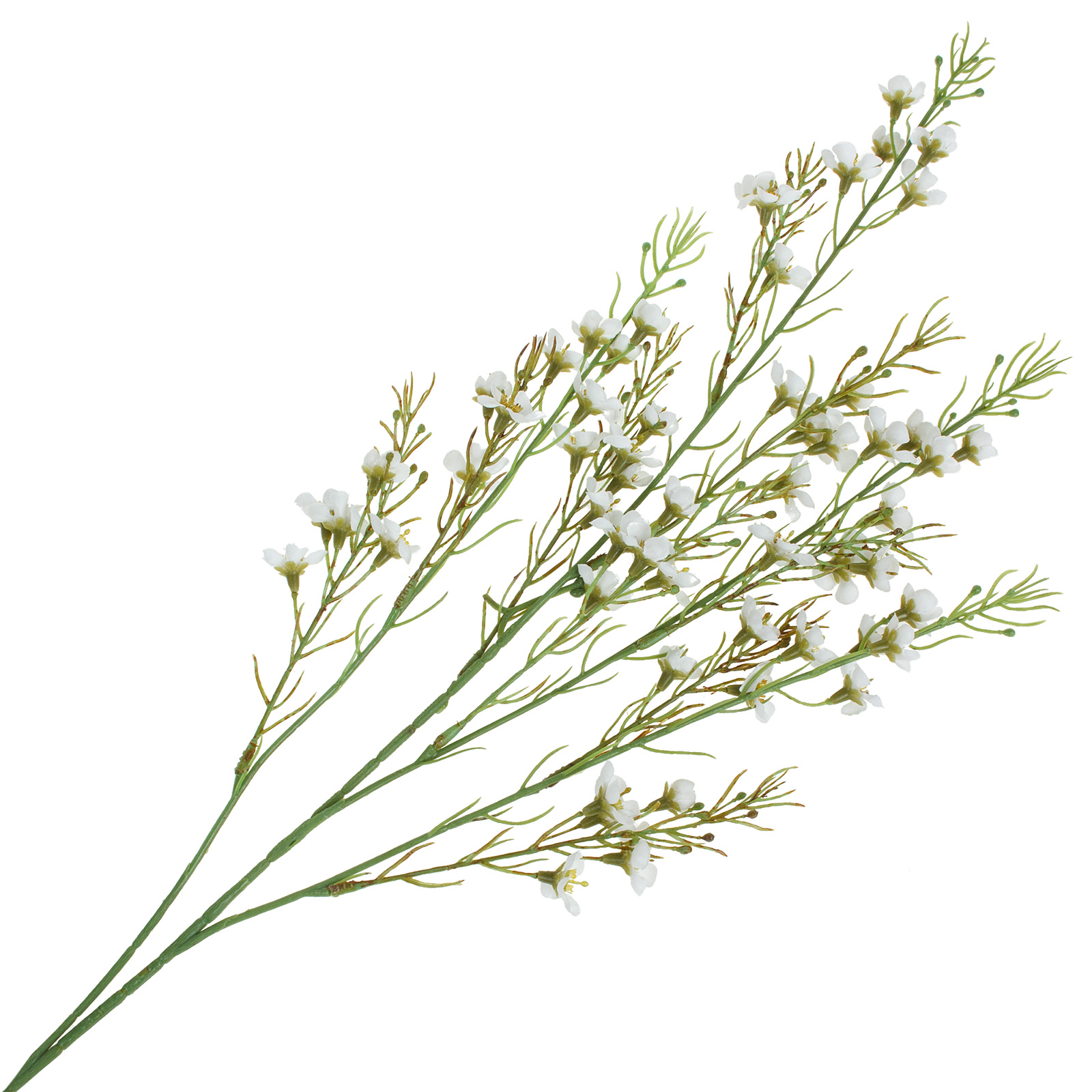 Изображение товара Растение искусственное Хамелациум h110 см