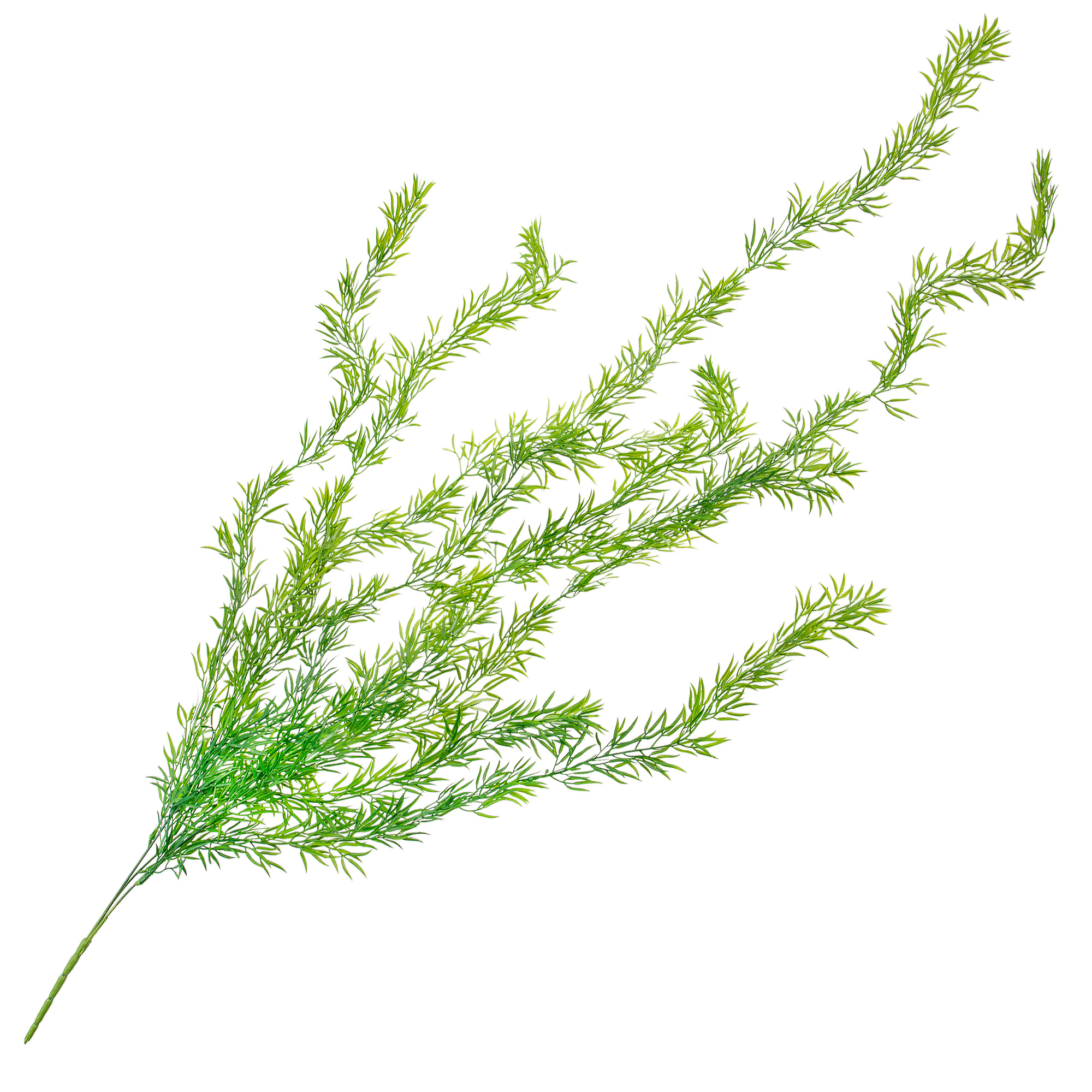 Изображение товара Искусственное ампельное растение Аспарагус высотой 110 см