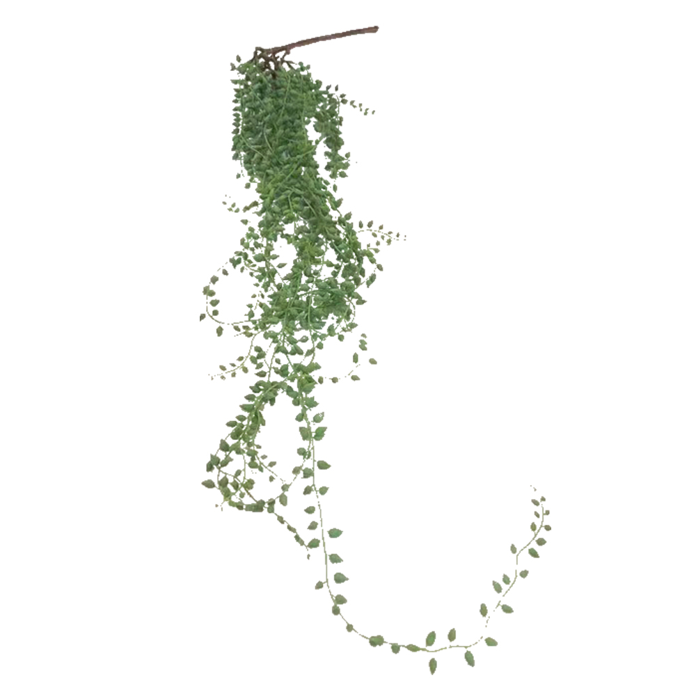 Изображение товара Искусственное ампельное растение Крестовник Роули высотой 108 см