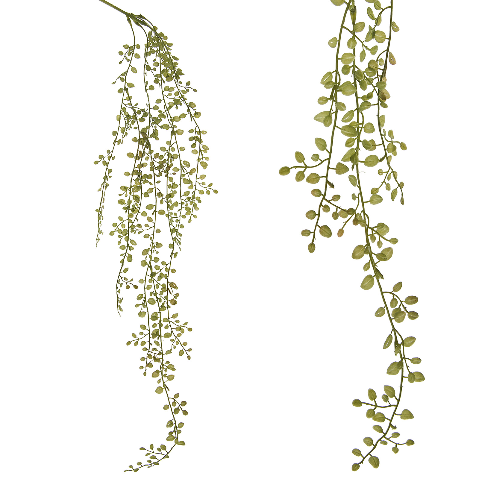 Изображение товара Ампельное искусственное растение Пеллея высота 110 см