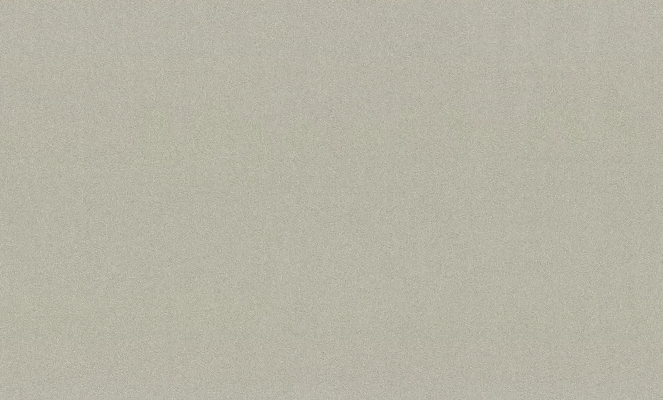 Изображение товара Обои HomeColor HC72581-17 виниловые на флизелиновой основе серые, 10.05 м