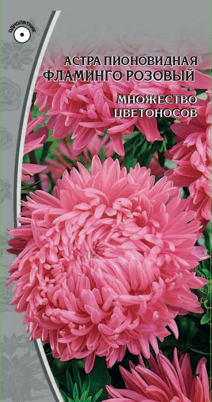 Изображение товара Семена Астра Фламинго розовый 0,2г