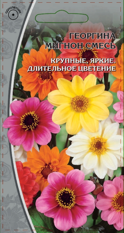 Изображение товара Семена Георгина Мигнон  смесь 0,3г