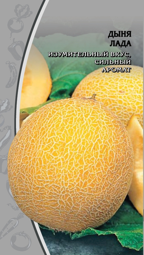 Изображение товара Семена Дыня Лада 1 гр