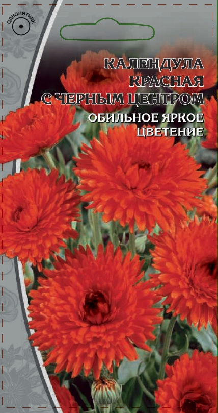 Изображение товара Семена Календула Красная с черным центром 0,2 гр