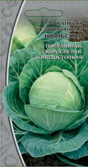 Изображение товара Семена Капуста  б/к  Июньская 1 г