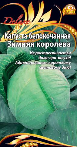 Изображение товара Семена капусты Зимняя королева 0,3г, универсальный сорт для стабильного урожая