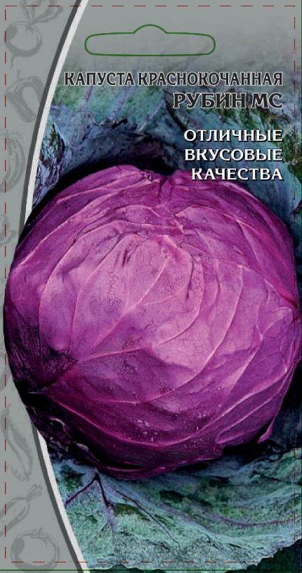 Изображение товара Семена Капуста краснокочанная Рубин МС 0,3 гр