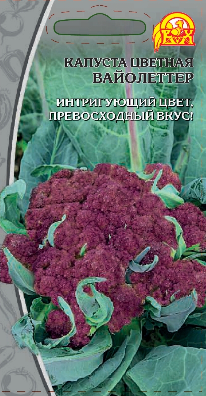 Изображение товара Семена Капуста цветная Вайолеттер  (Селекция "ВХ")      0,3г