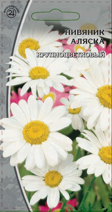 Изображение товара Семена Нивяник Аляска 0,3 гр.