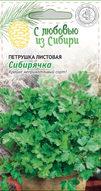 Изображение товара Семена Петрушка Сибирячка 2г