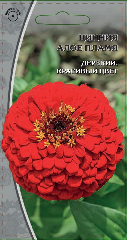 Изображение товара Семена Цинния Алое пламя 0,5 гр