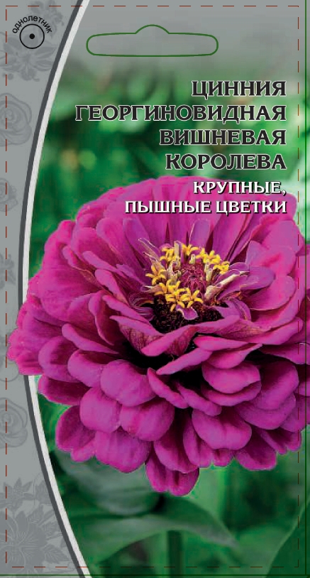 Изображение товара Семена Цинния Вишневая королева 0,5 гр