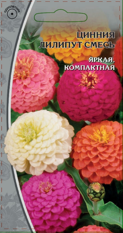 Изображение товара Семена Цинния Лиллипут 0,5 гр