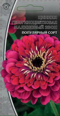 Изображение товара Семена Цинния Малиновый звон  0,5 гр