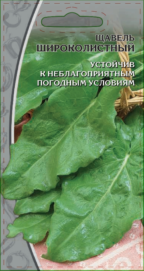 Изображение товара Семена Щавель Широколистный 1г