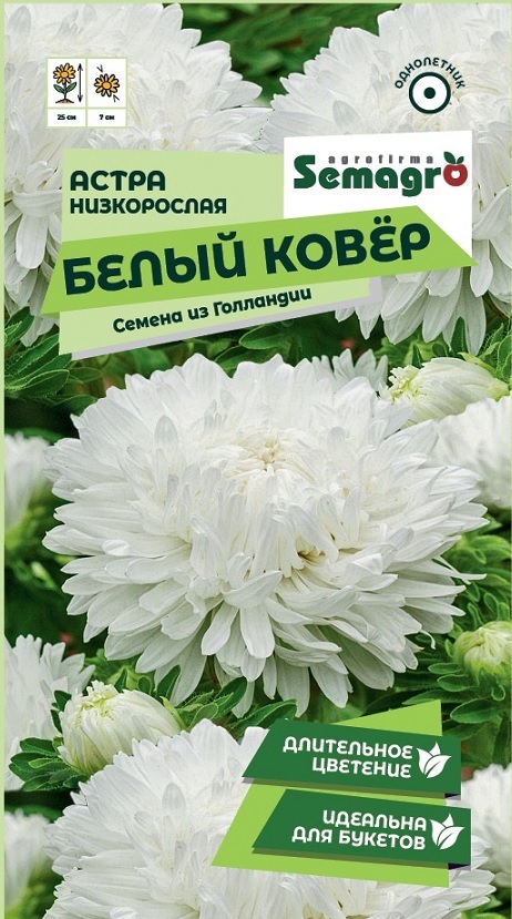 Изображение товара Семена Астры низкорослой Белый ковер 0,2 г для ландшафтного дизайна