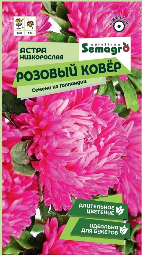 Изображение товара Семена Астры низкорослой Розовый ковер 0,2 г для цветочных бордюров и срезки