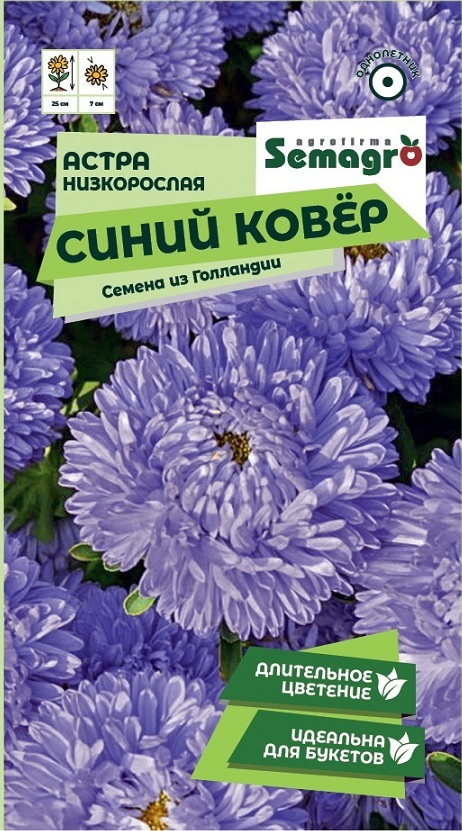 Изображение товара Семена астры низкорослой Синий ковер 0,2 г для клумб и букетов