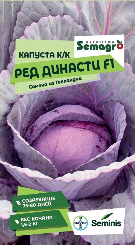 Изображение товара Семена Краснокочанной капусты SEMINIS Ред Династи F1 15 шт для открытого грунта