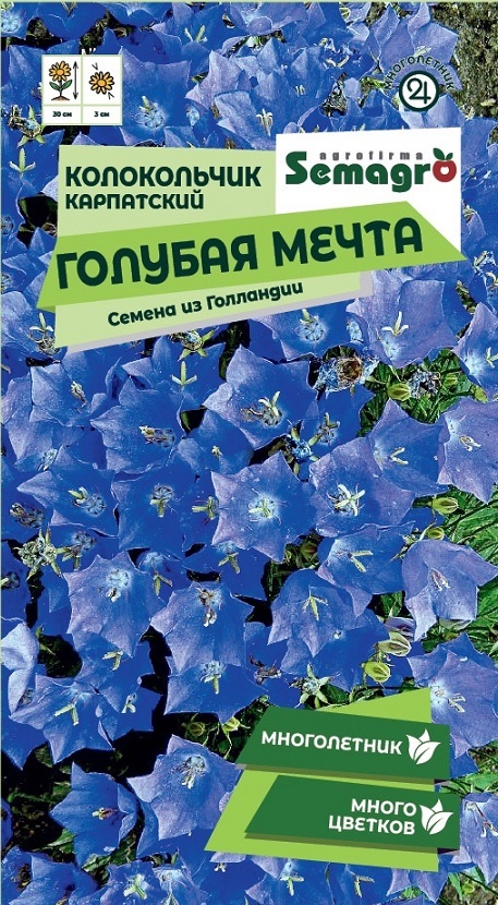 Изображение товара Семена Колокольчика Карпатского Голубая мечта 0,1 г для ландшафтного дизайна