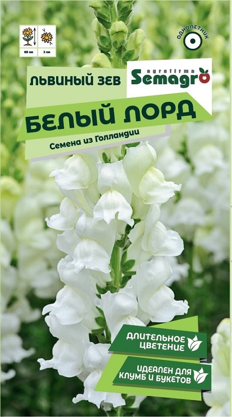 Изображение товара Семена Львиного Зева SEMAGRO Белый лорд 0,1 г
