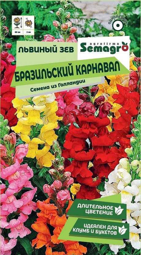 Изображение товара Семена Львиного Зева SEMAGRO Бразильский карнавал 0,1 г для яркого цветения в саду