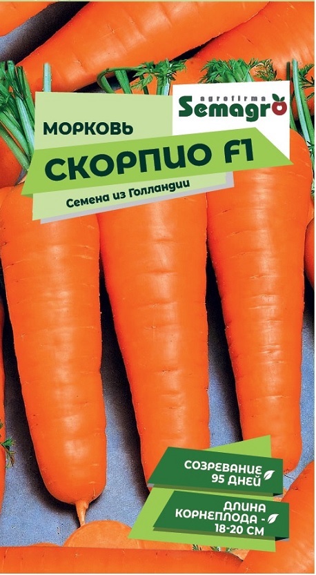Изображение товара Семена моркови Скорпио F1 0,5 г гибрид раннеспелый высокая урожайность