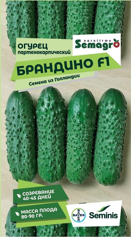Изображение товара Семена огурца Брандино F1, партенокарпический, 5 шт от Seminis