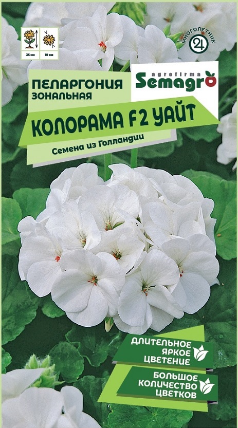 Изображение товара Семена пеларгонии зональной Колорама F2 уайт 5 шт для балконов и клумб