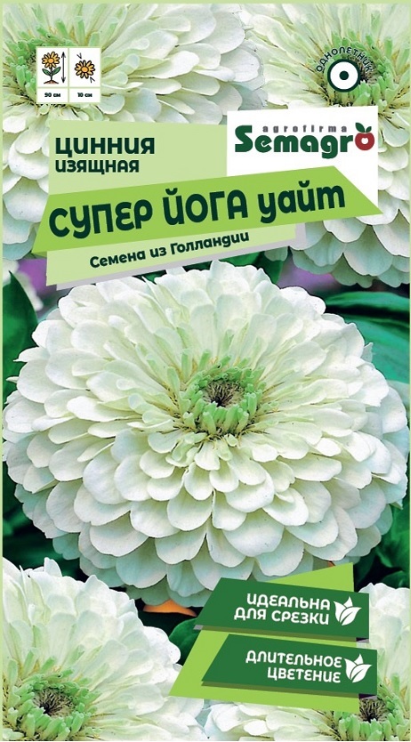 Изображение товара Семена Циннии изящной SEMAGRO Супер Йога Уайт 20 шт